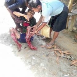ميانمار تواصل إحراق قرى الروهنغيا .. ودعوات لإنقاذهم من كارثة إنسانية جديدة