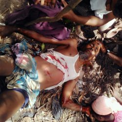 «الصويان»: المجتمع الدولي يلتزم الصمت تجاه الإبادة الجماعية لمسلمي أراكان