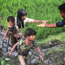ميانمار تمنع مسلمي الروهنغيا من الحج