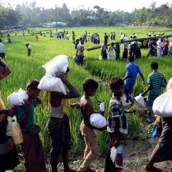 حسب منظمة “يونيسيف”:الأمراض تهاجم ربع مليون طفل مسلم من الروهنغيا بمخيمات بنغلاديش