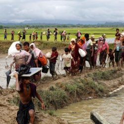 ميانمار ومسلمو الروهنغيا.. من “المجازر” إلى “الإبادة الجماعية”