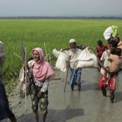 ميانمار تضع ألغامًا قرب بنغلاديش لمنع مسلمي الروهنغيا من العودة إلى بلادهم