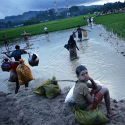 رئيس “المعاهدة الدولية لحظر الألغام” يطالب بإيفاد بعثة تقصي حقائق إلى ميانمار