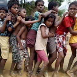 10 آلاف لاجئ من الروهنغيا عالقون على حدود بنغلاديش