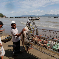 مفوضية اللاجئين : 11 ألفا من الروهنغيا فروا من ميانمار يوم الاثنين