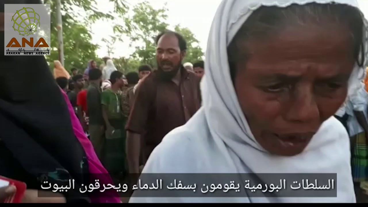 لاجئات روهنغيات يتحدثن عن جرائم الجيش الميانماري