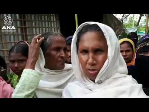 الأسر الروهنغية تعاني من التشتت في بنغلاديش | روايات للفارين