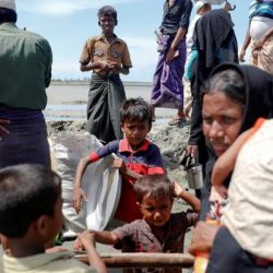 تركيا تبحث مع بنغلاديش تخصيص جزيرة لإيواء لاجئي الروهنغيا