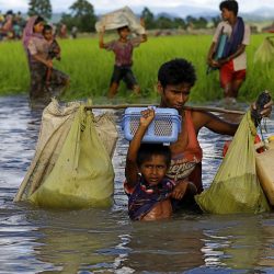 الإمارات تدشن جسر مساعدات إلى بنغلاديش لصالح لاجئي الروهنغيا