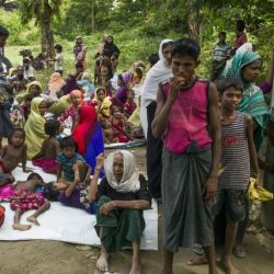 استمرار وفود اللاجئين الروهنغيا إلى بنغلاديش منذ ٢٥ أغسطس وحتى الآن