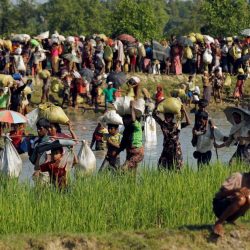 بالإرادة السياسية يمكن وقف فظائع ميانمار
