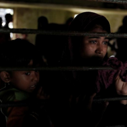 الأمم المتحدة: أكثر من مليوني لاجئ جديد هذا العام منهم 500 ألف روهنغي
