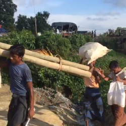 مفوضية اللاجئين تجري تعداداً للعائلات الروهنغية في بنغلادش