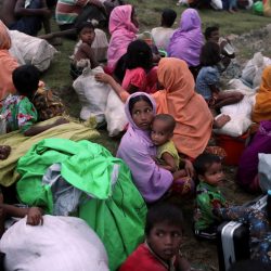شيخ الأزهر إلى بنغلادش غدا الجمعة لدعم مسلمي الروهنغيا