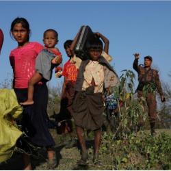 نيويورك تايمز: عسكر ميانمار يمحو تاريخ الروهنغيا