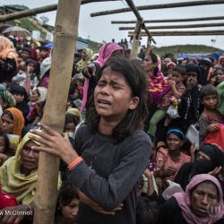 «مفوضية اللاجئين»: استمرار فرار الروهنغيا من ميانمار إلى بنغلادش