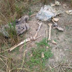 غوتيريش “قلق للغاية” إزاء اكتشاف 5 مقابر جماعية للروهنغيا في ميانمار