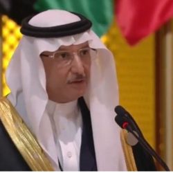 القمة العربية بالسعودية تدين الانتهاكات ضد مسلمي الروهنغيا