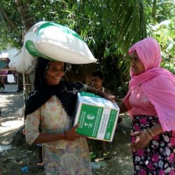 ميانمار تريد استعادة اللاجئين الروهنغيا