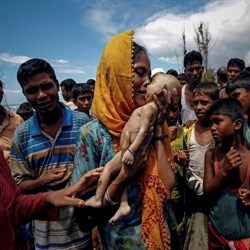 الهند تؤكد على التزامها واستعدادها بمساعدة ميانمار في مخاطبة قضايا تتعلق بولاية أراكان.