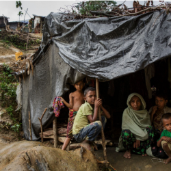 كبير مسؤولي المساعدات في أمريكا يحث ميانمار على اتخاذ خطوات ملموسة بشأن حقوق الروهنغيا