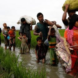 السعودية تواصل لليوم 15 توزيع السلال الغذائية الرمضانية للاجئين الروهنغيا في بنغلادش