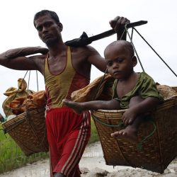 الأزهر: بنغلادش أنفقت قرض صندوق النقد لمساعدة الروهنغيا