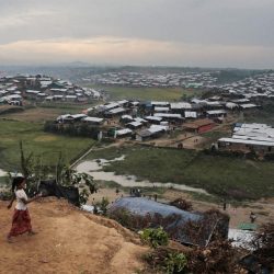 صلاح عبدالشكور : مناطق لجوء الروهنغيا ببنغلادش غير صالحة للبشر