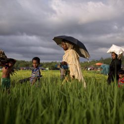 هيومان رايتس ووتش: على بنغلادش نقل الروهنغيا من المخيمات المزدحمة