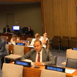 الأمم المتحدة تستمع غدا للجنة التحقيق الدولية في قضية الروهنغيا