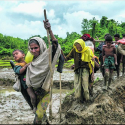 “ميانمار.. حقول القتل”.. عندما يتوحش البشر