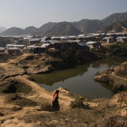 اليابان تدعو ميانمار لإجراء تحقيق موثوق في انتهاكاتها ضد الروهنغيا