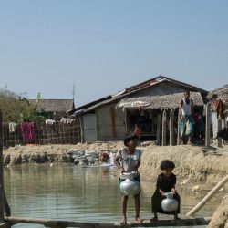 مفوضية شؤون اللاجئين: قلقون من ترحيل الهند 7 من الروهنغيا إلى ميانمار