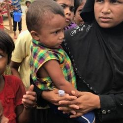 بنغلادش تعلن إلغاء خطة إعادة الروهنغيا إلى ميانمار