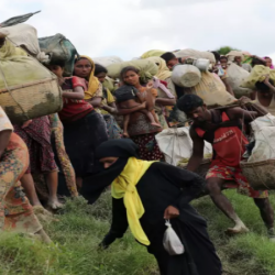 المسلمات الروهنغيا في ميانمار – فاطمة الروهنغية تحكي مأساتها