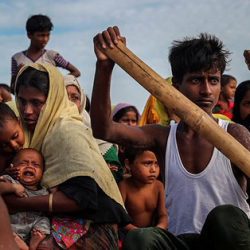 “الجديري المائي” يتفشى في مخيمات الروهنغيا ببنغلادش