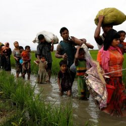 جيش ميانمار يقر بقتل وإصابة مسلمين روهنغيين بالخطأ