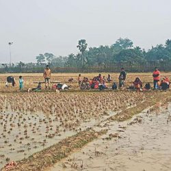 بنغلادش تحث المجتمع على بذل أقصى جهوده لحل أزمة الروهنغيا