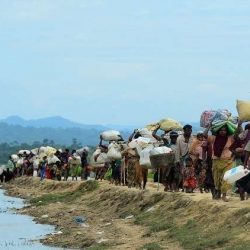 حالة ذعر تصيب الروهنغيا العالقين على الحدود البنغالية بسبب قوات ميانمار
