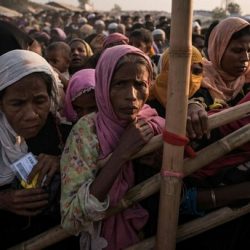 لاجئو الروهنغيا في اندونيسيا يطالبون السلطات بمنحهم الجنسية