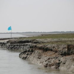 باحثة بنغالية ” سوتشى دمرت إرثها التاريخي بسوء التعامل مع أزمة الروهنغيا