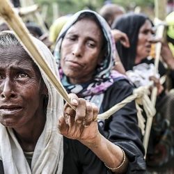 الروهنغيون في بنغلادش يطالبون المجتمع الدولي بمحاسبة ميانمار في محكمة لاهاي