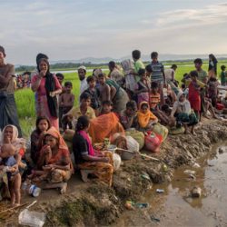 جماعة حقوقية تدعو ميانمار إلى إعادة حق الجنسية للروهنغيا