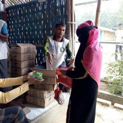 خبراء : يمكن أن يسبب كورونا الفوضى بين اللاجئين الروهنغيا في بنغلادش