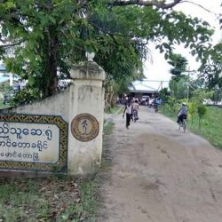 واشنطن تدعو حكومة ميانمار لوقف العنف في ولاية أراكان
