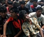 شيخ الأزهر والمفتي يطالبان المنظمات الدولية بوقف مجازر المسلمين في ميانمار