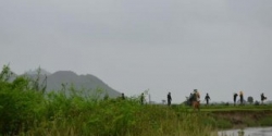 القوات البورمية تضيق الخناق على المسلمين في أراكان للعمل القسري في معسكرات الجيش