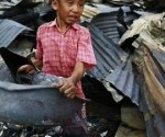 مئات المشردين بعد الحرق المتعمد لمنازل مسلمين في بورما