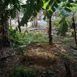 العثور على مقابر جماعية في ماليزيا يشتبه أنها للروهنجيا