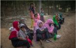ميانمار إحدى 5 دول تُساهم في أزمة اللاجئين العالمية
